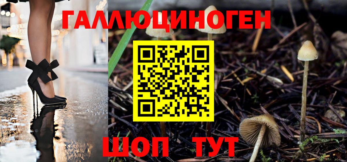 где продают   Галлюциногенные грибы прущие грибы  Вход с VPN  Троицк  Галлюциногенные грибы Magic Shrooms 