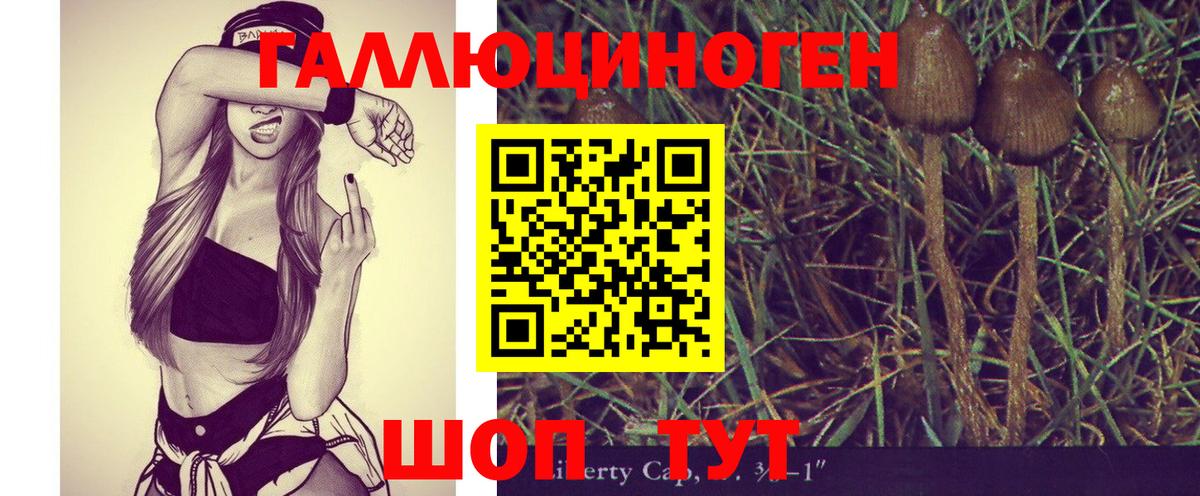 Галлюциногенные грибы мицелий Троицк